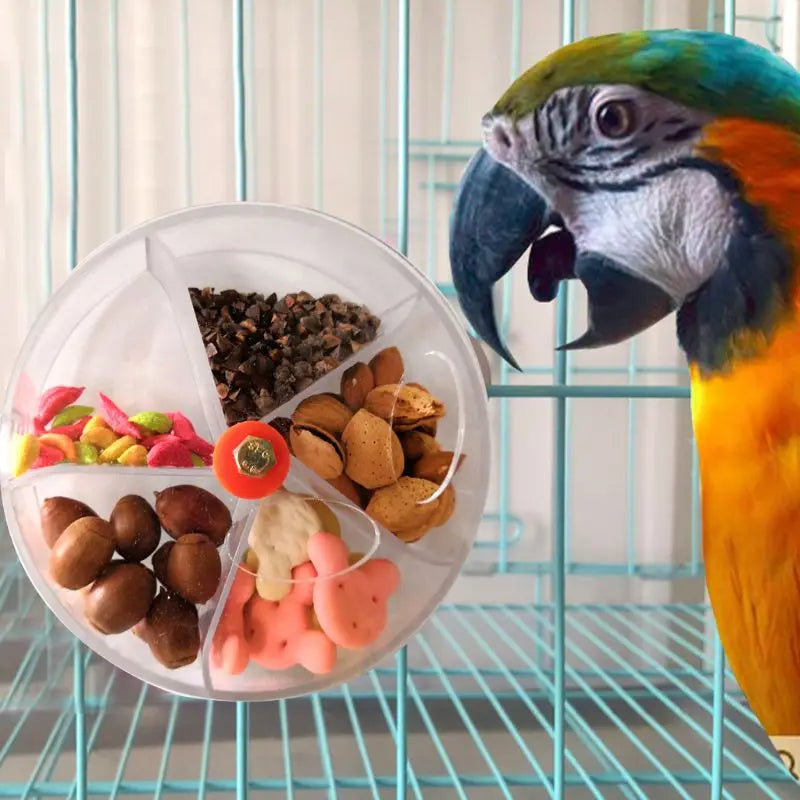 Parrot Puzzle Feeder with Rotatable Wheel