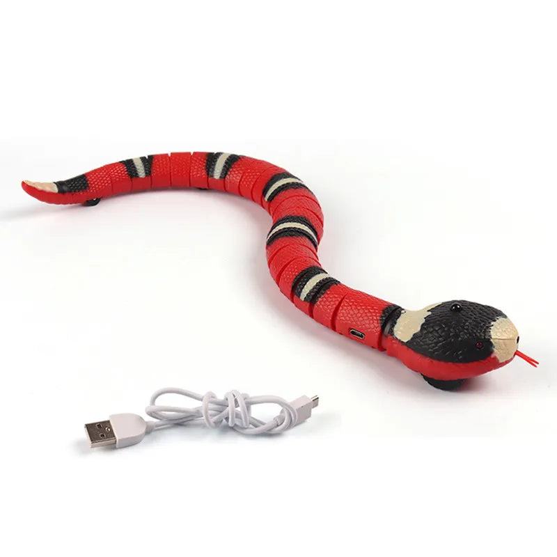 Interactive Cat Toy - Rattle Snake