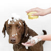 A Dog Bath Massage Brush with Soft Safety Silicone