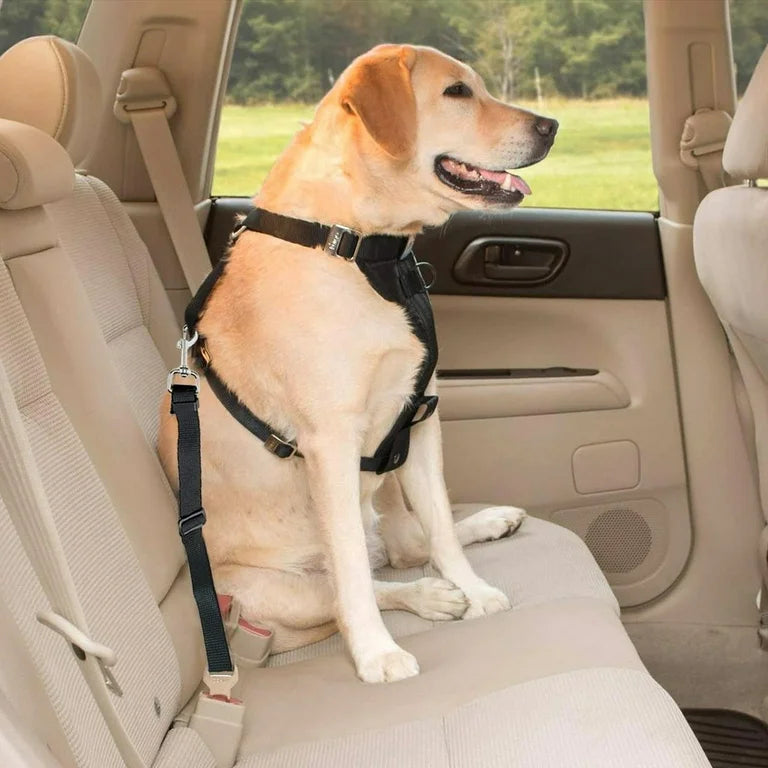 Adjustable Pet Car Seat Belt